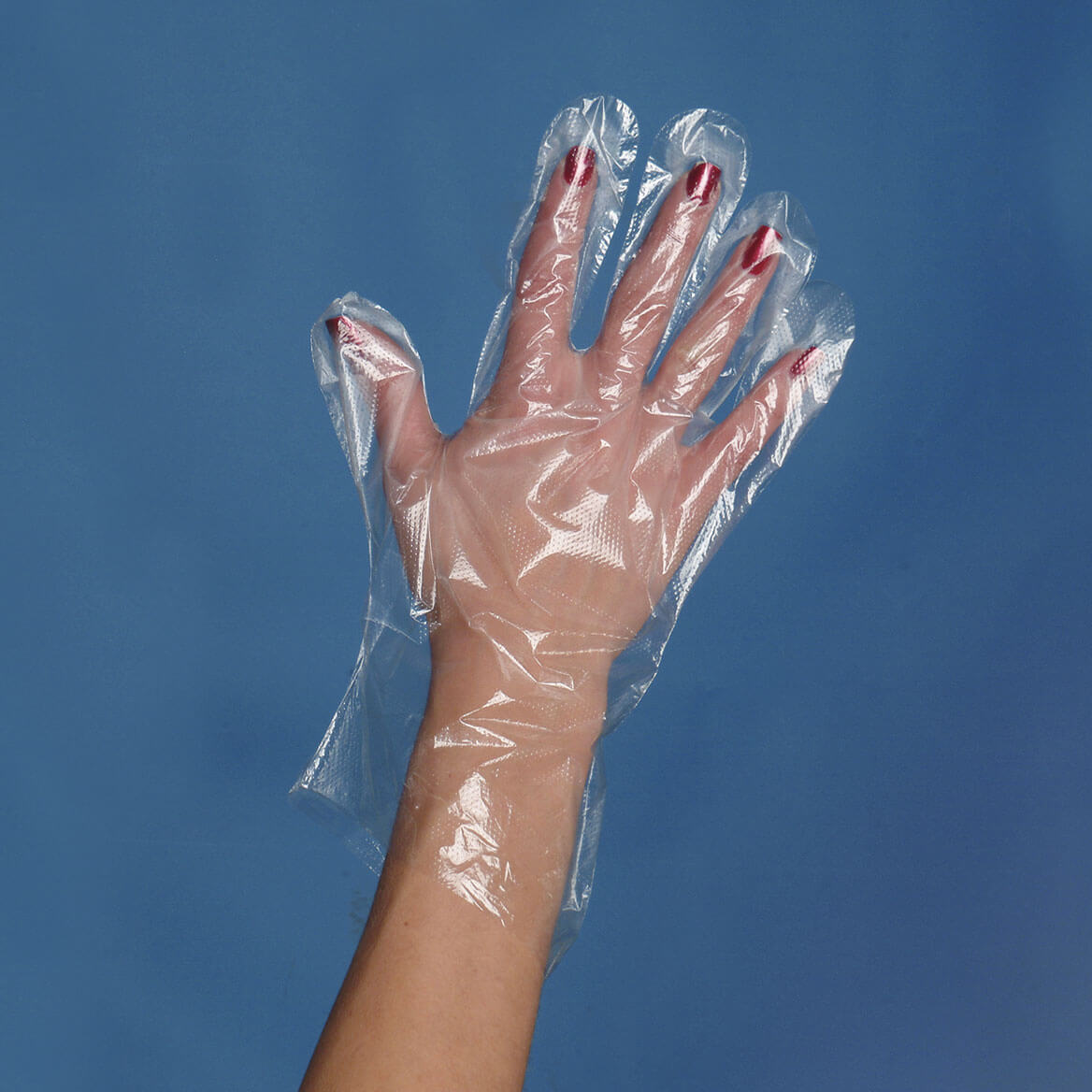 Plastic Gloves Disposible Plastic Gloves Dream Products