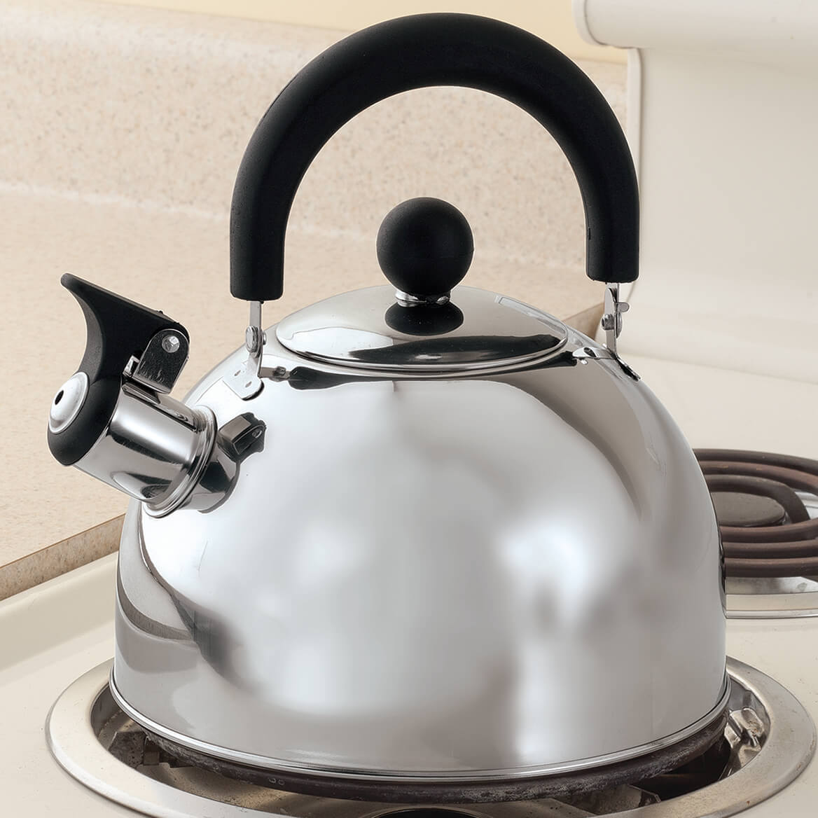 Stainless Steel Whistling Tea Kettle by HomeStyle Kitchen